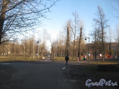 Палевский сад. Фрагмент. Фото 11 марта 2014 г.