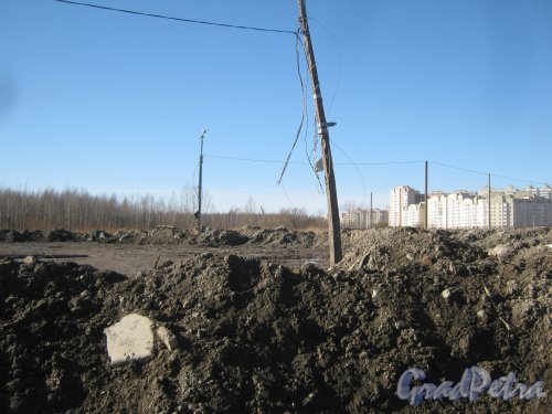 Южно-Приморский парк, выходящий на ул. Доблести. Вид на территорию бывших автостоянок около ул. Маршала Захарова. Фото 11 марта 2014 г.
