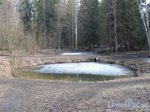 Шуваловский парк. Круглый пруд. Фото апрель 2014 г.