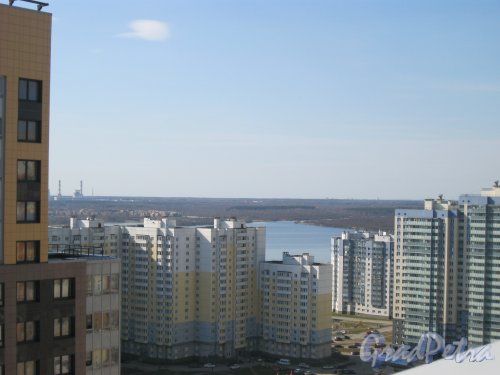 Вид на Лахтинский разлив и Юнтоловский заказник с крыши дома 2 по Лыжному пер. Фото 18 апреля 2014 г.

