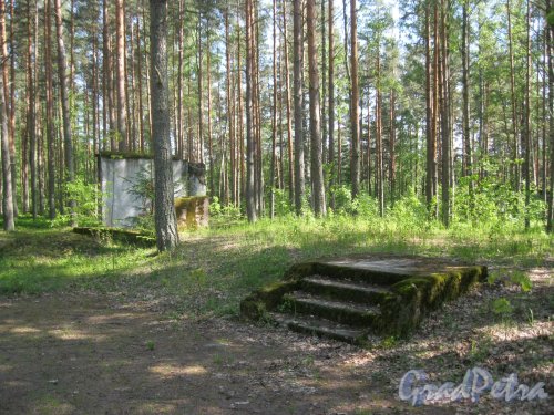 Исторический парк «Марьина гора» около пос. Молодёжное между Приморским и Средневыборгским шоссе. Остатки строений. Фото 4 июня 2014 г.