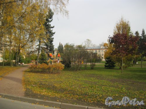 Посёлок Стрельна, сквер Юрия Инге. Вид со Стрельнинской ул. Фото 16 октября 2014 г.