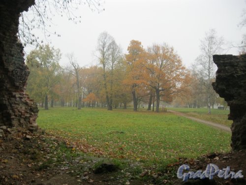 Пос. Стрельна, Орловский парк. Башня-развалина. Фото 14 октября 2014 г.