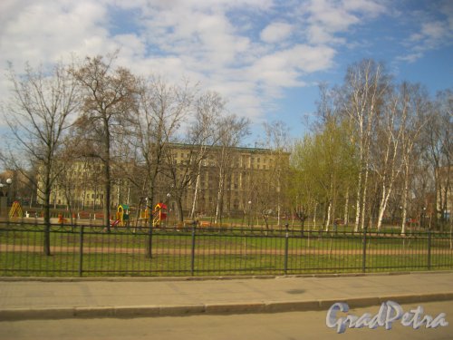 Шкиперский сад. Фрагмент. Вид из окна проезжающего мимо трамвая. Фото 27 апреля 2015 г.