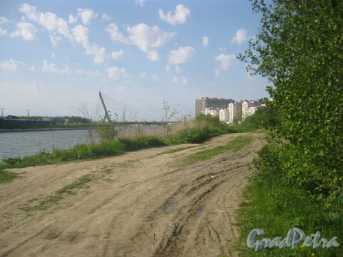 Южно-Приморский парк около Дудергофского канала. Фото 27 мая 2015 г.