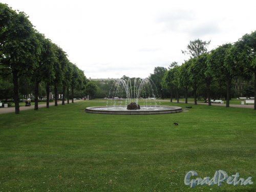 Сад Смольного. Вид на партер с фонтаном. Фото июль 2014 г.