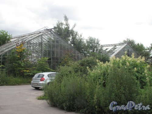 Таврический сад. Одна из крытых садовых оранжерей. Фото июль 2014 г.