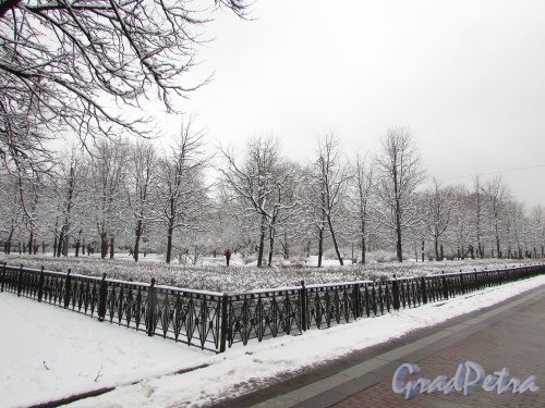 Участок сквера Северная Роща со стороны Московского проспекта и авиационной улицы. Фото 15 февраля 2016 года.