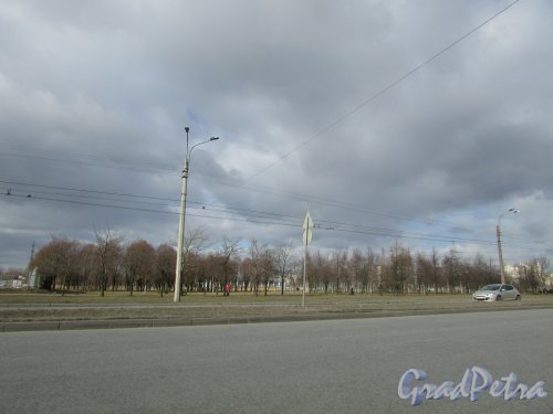 Вид на Ладожский парк со стороны проспекта Косыгина. Фото 20 марта 2016 года.