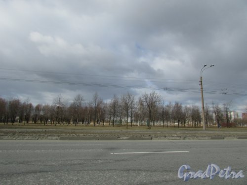 Вид на Ладожский парк со стороны проспекта Косыгина. Фото 20 марта 2016 года.