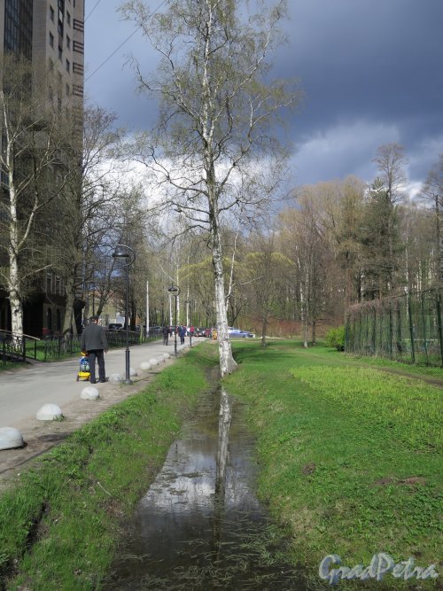 Удельный парк. Вид парка на границе с ЖК «Шведская крона». фото май 2015 г.