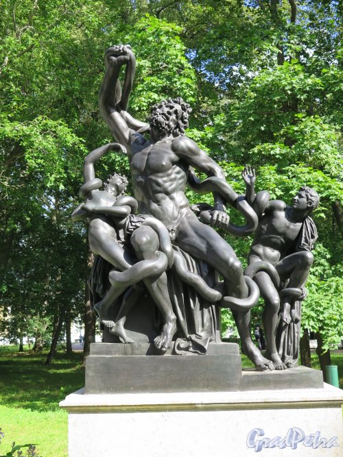 Верхний парк (Ораниенбаум). Липовая аллея. Скульптура «Лаокоон и сыновья, погибающие от змей». фото август 2015 г. 