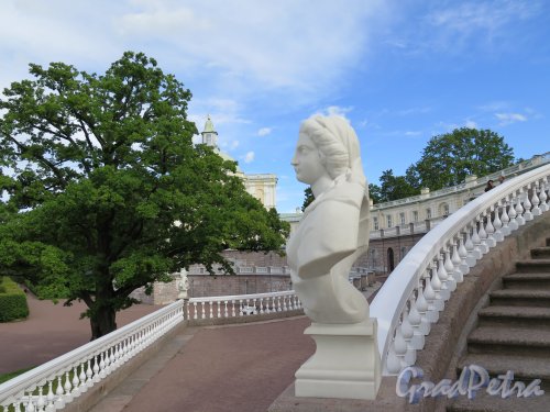 Верхний парк (Ораниенбаум), д. 1. Большой Меншиковский дворец. Декоративная скульптура на парадной лестнице. фото август 2015 г.