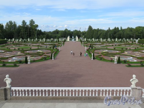 Нижний парк (Ораниенбаум), заложен в 1712 г. Вид с верхнего яруса террасы Меншиковского дворца. фото август 2015 г.