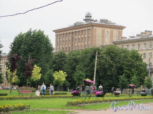 Ломоносовский сад. Вид сада с ул. Полярников. фото июнь 2016 г.