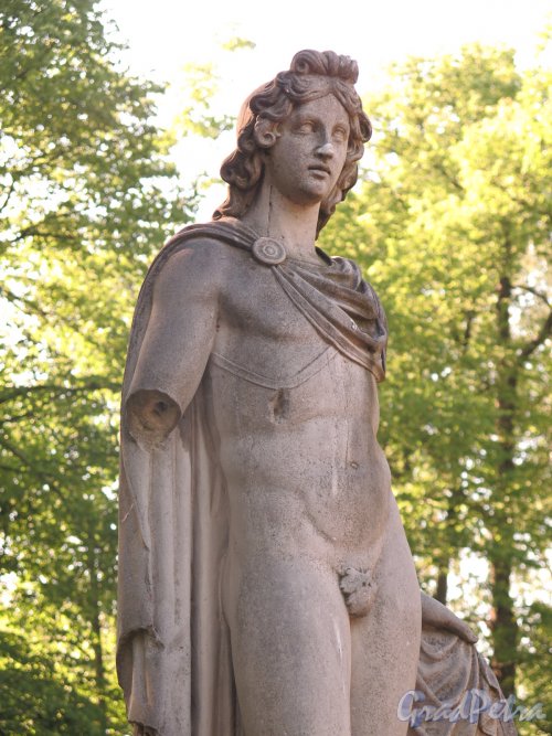 Павловский парк. Статуя Аполлона у садового фасада Дворца. фото июнь 2016 