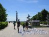 Парк 300-летия Петербурга. Аллея с видом на Колонну-маяк. фото май 2018 г. 