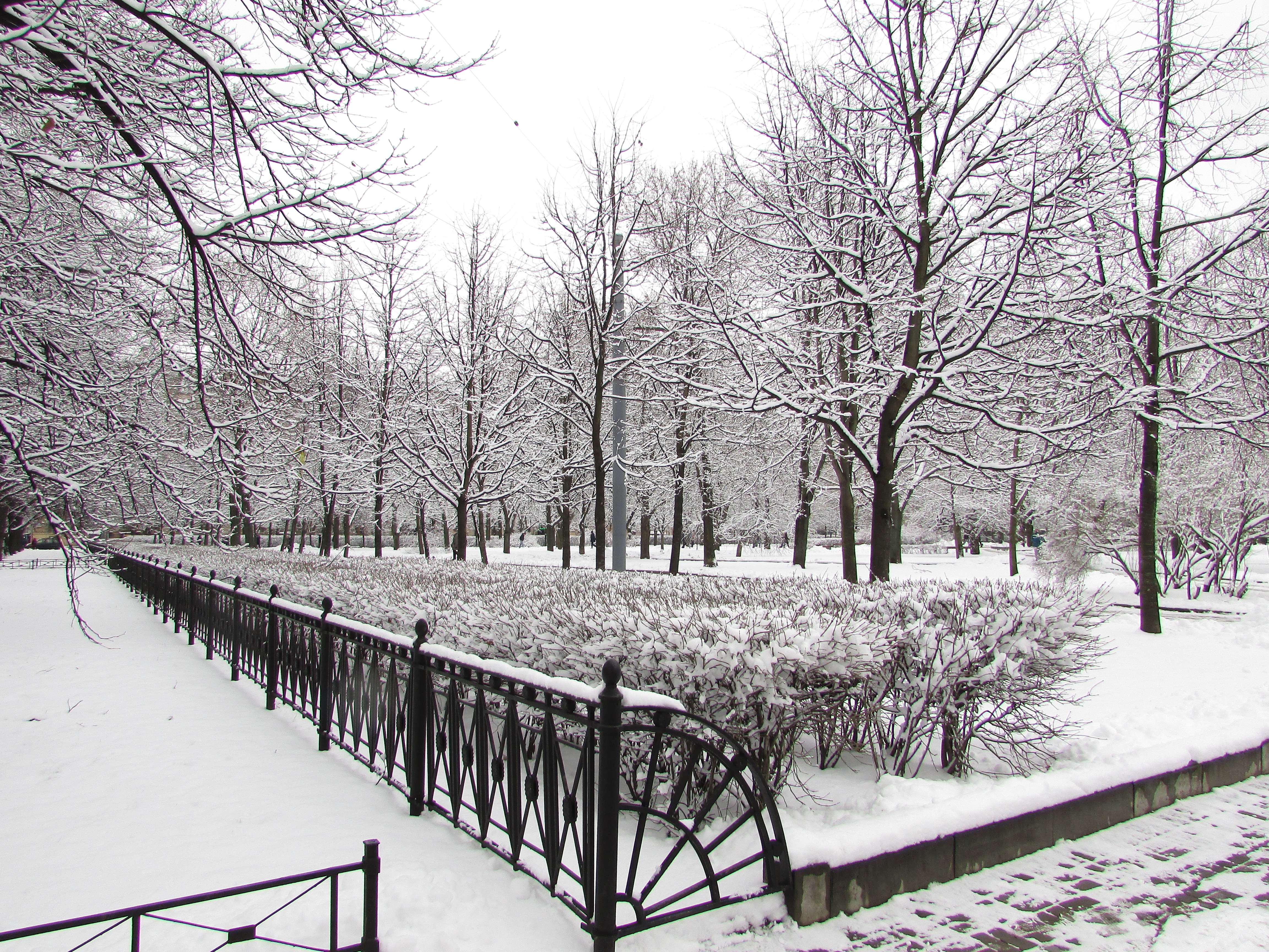 Роща санкт петербург