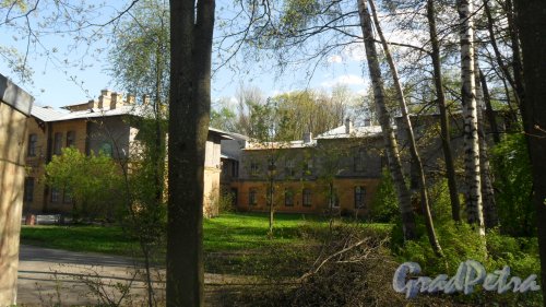 Институтский переулок, дом 5, литер В. Вид здания с Новосильцевского переулка. Фото 6 мая 2016 года.