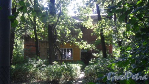 Институтский переулок, дом 5, корпус 6. Вид жилого дома с Новороссийской улицы. Фото 23 августа 2016 года.