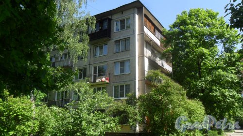 Альпийский переулок, дом 21. 5-этажный жилой  дом серии 1ЛГ-502-6 1965 года постройки. 6 парадных, 90 квартир. Фото 25 мая 2018 года.