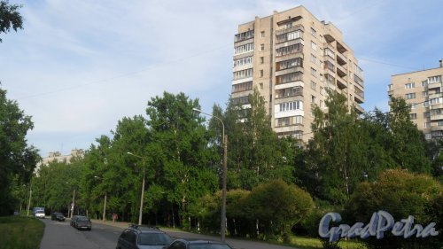 Альпийский переулок, дом 41. 14-этажный жилой дом серии 1-528кп80 1973 года постройки. 1 парадная, 97 квартир. Фото 16 июня 2018 года.