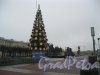 Площадь Ленина. Установка новогодней ёлки. Фото 18 ноября 2015 г.