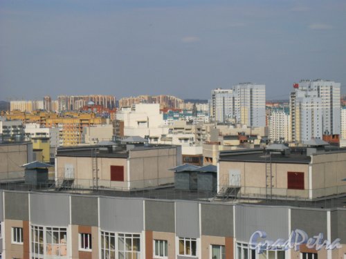 Приморский р-н. Общий вид с крыши дома 2 по Лыжному пер. на верхние части зданий в районе,ограниченном Туристской ул. и Лыжнвм пер. Фото 18 апреля 2014 г.