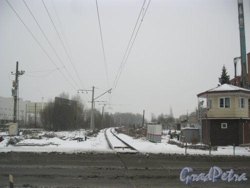Ж/д станция «Старая Деревня». Ж/д пути в сторону Финляндского вокзала. Фото 8 января 2015 г.