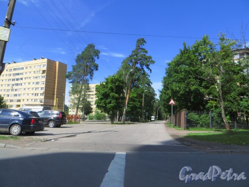 Перспектива Зарубинского проезда от Дубковского шоссе в сторону Полевой улицы.