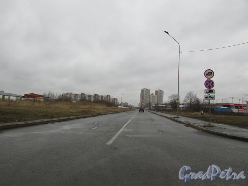Перспектива Складского проезда от Софийской улицы в сторону Карпатской улицы. Фото 16 февраля 2020 г.