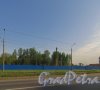 Ириновский проспект, уч. 1. Участок до строительства жилого комплекса «Нью-Тон». Фото 25 мая 2014 года.