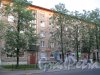 Пр. Елизарова, дом 14. Фрагмент фасада. Фото 27 июля 2014 г.
