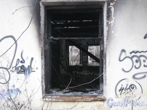 Пр. Ветеранов, дом 141, корпус 2. Окно сгоревшего дома. Фото февраль 2014 г.