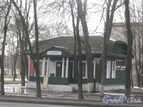 г. Красное Село, пр. Ленина, дом 83. Общий вид со стороны дома 112. Фото 24 февраля 2014 г.
