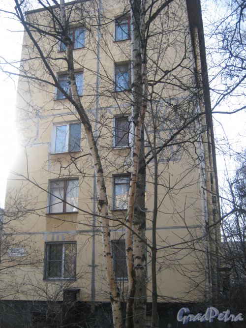 Пр. Народного Ополчения, дом 111. Общий вид торца здания. Фото 26 февраля 2014 г.