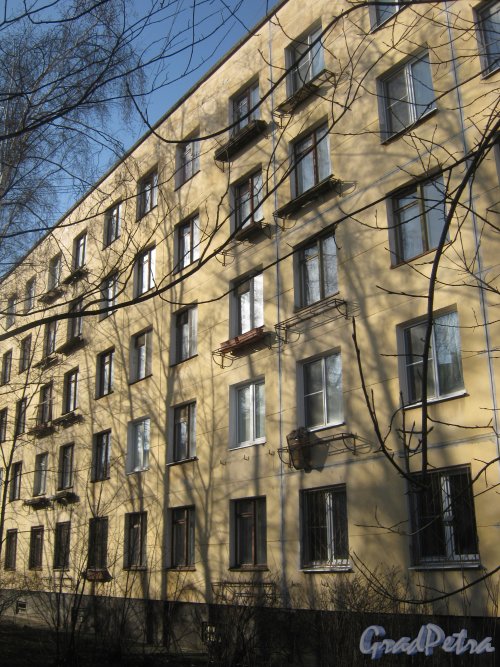 Пр. Народного Ополчения, дом 111. Общий вид со стороны фасада. Фото 26 февраля 2014 г.