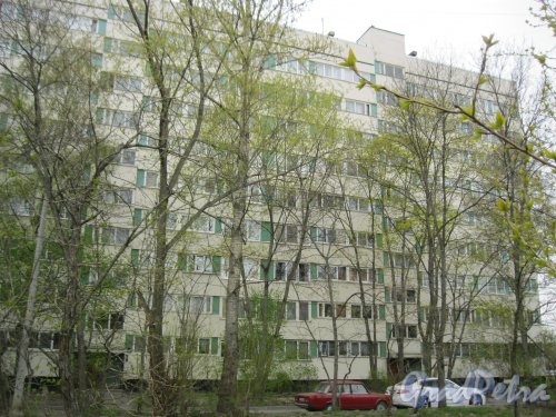 Пр. Маршала Жукова, дом 64, корпус 1. Общий вид со стороны дома 6 по ул. Бурцева. Фото 1 мая 2014 г.
