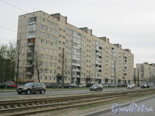 Ириновский пр., дом 37, корпус 1. Общий вид. Фото 28 апреля 2014 г.