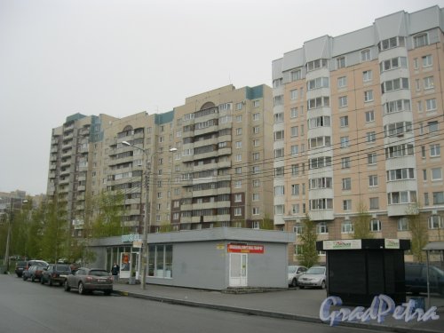Пр. Шуваловский, дом 59, корпус 1. Общий вид здания. Фото 8 мая 2014 г.