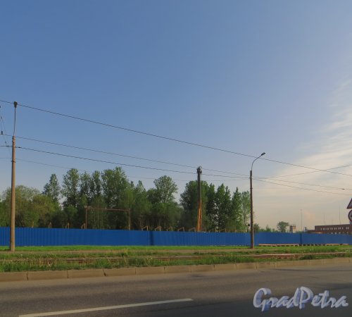 Ириновский проспект, уч. 1. Вид участка до строительства жилого комплекса «Нью-тон». Фото 25 мая 2014 года.