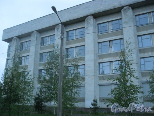 г. Петергоф, Университетский пр., дом 26. Фрагмент здания. Фото 28 мая 2014 г.