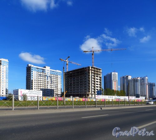Строительство новых жилых комплексов Salut и VIVA на участке между Пулковским шоссе и Московским шоссе. Фото 2 октября 2014 года.