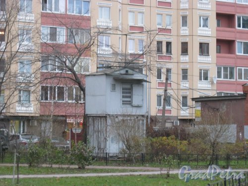 Ленинский пр., дом 79, корпус 3. Голубятня во дворе дома. Фото 31 октября 2014 г.