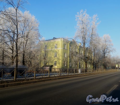 Город Красное Село, проспект Ленина, дом 69, литера А. Фото 20 ноября 2014 года.