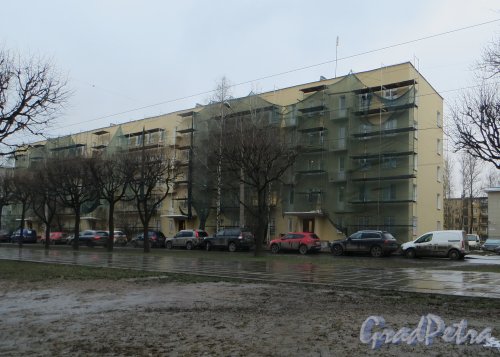 Новочеркасский пр., дом 58. Реставрация фасада здания. Фото 17 декабря 2014 года.