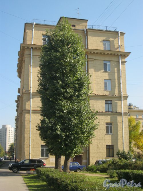 Новочеркасский пр., дом 37, корпус 1. Торец жилого дома. Фото 18 сентября 2014 г.