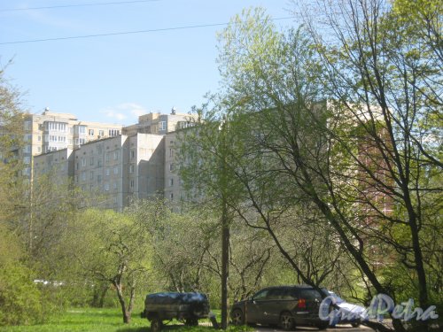 Пр. Стачек, дом 212, корпус 2. Вид из парка «Александрино». Фото 10 мая 2015 г.