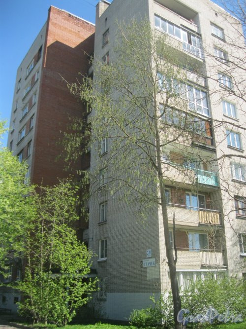 Пр. Стачек, дом 220, корпус 3. Фрагмент здания. Вид из парка «Александрино». Фото 10 мая 2015 г.