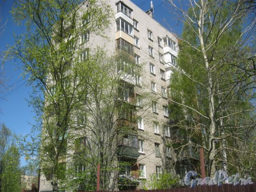 Пр. Стачек, дом 220, корпус 3. Фрагмент здания. Вид из парка «Александрино». Фото 10 мая 2015 г.